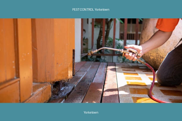 PEST CONTROL Yorketown